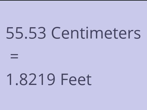 55.53 CM TO FEET