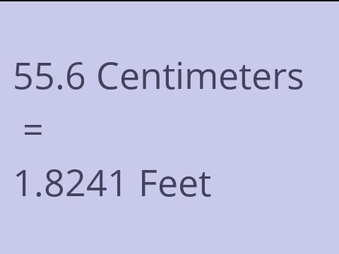 55.6 CM TO FEET