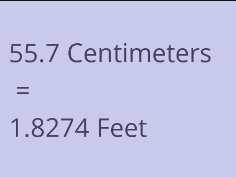 55.7 CM TO FEET