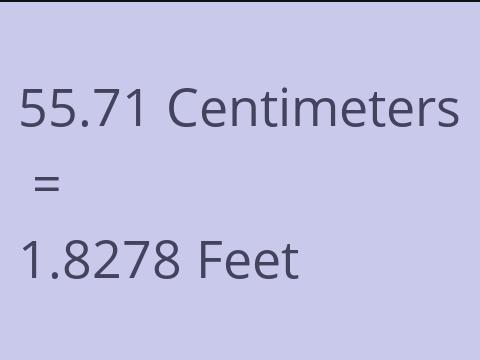 55.71 CM TO FEET