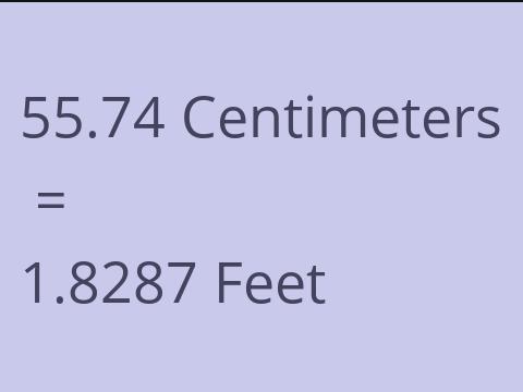 55.74 CM TO FEET