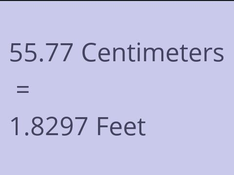 55.77 CM TO FEET