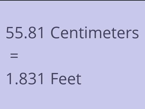 55.81 CM TO FEET