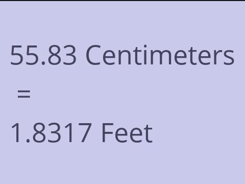 55.83 CM TO FEET