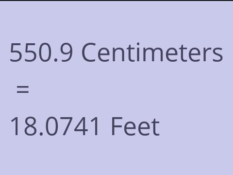 550.9 CM TO FEET