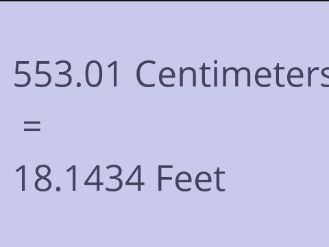 553.01 CM TO FEET