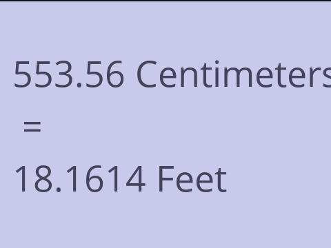 553.56 CM TO FEET