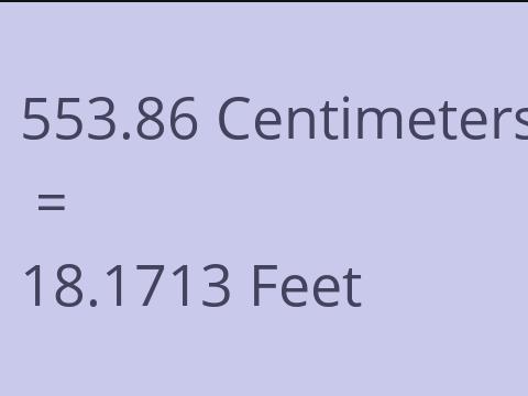 553.86 CM TO FEET