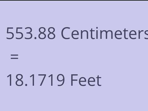 553.88 CM TO FEET