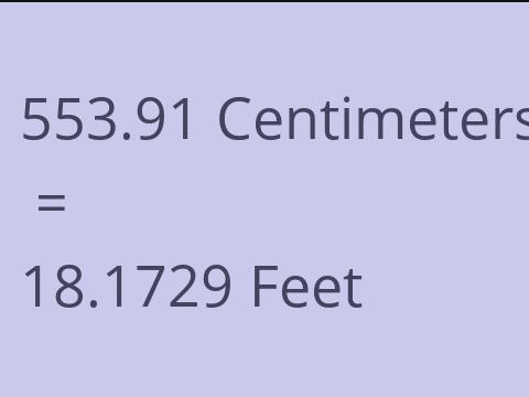 553.91 CM TO FEET