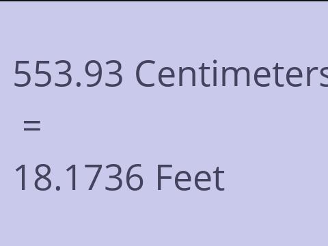 553.93 CM TO FEET