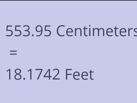 553.95 CM TO FEET