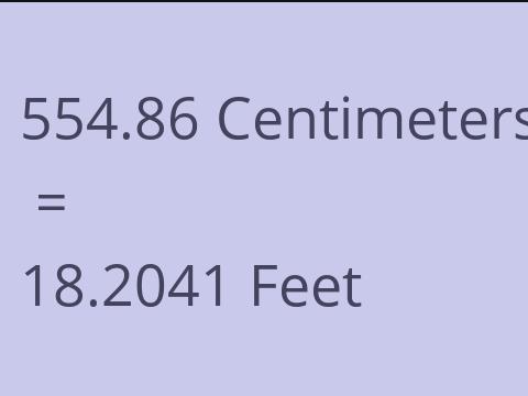 554.86 CM TO FEET