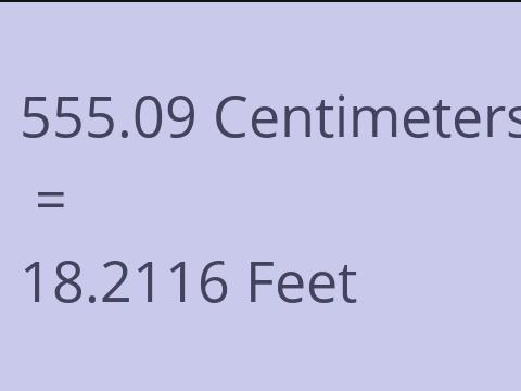 555.09 CM TO FEET