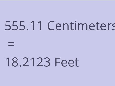 555.11 CM TO FEET