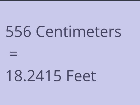 556 CM TO FEET