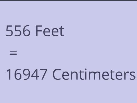 556 FEET TO CM