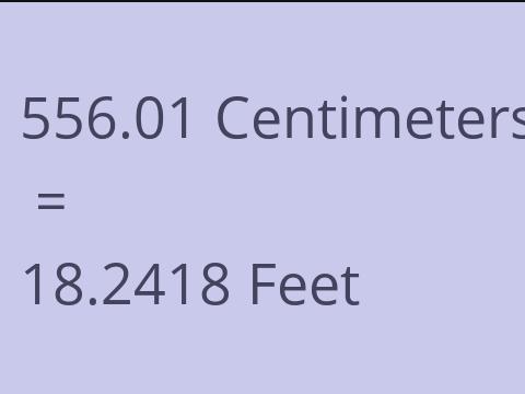 556.01 CM TO FEET