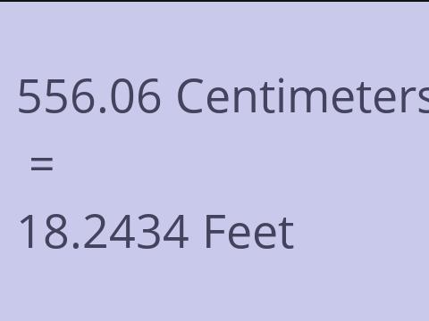 556.06 CM TO FEET