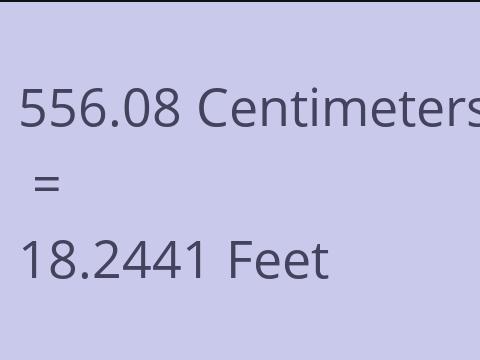 556.08 CM TO FEET