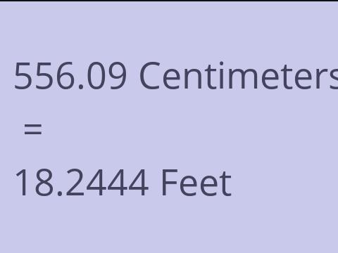 556.09 CM TO FEET