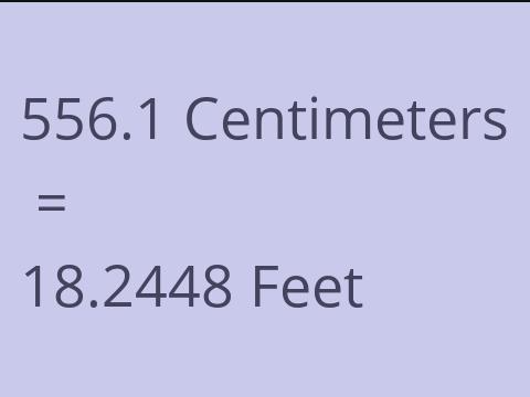 556.1 CM TO FEET