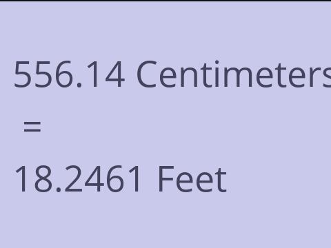 556.14 CM TO FEET