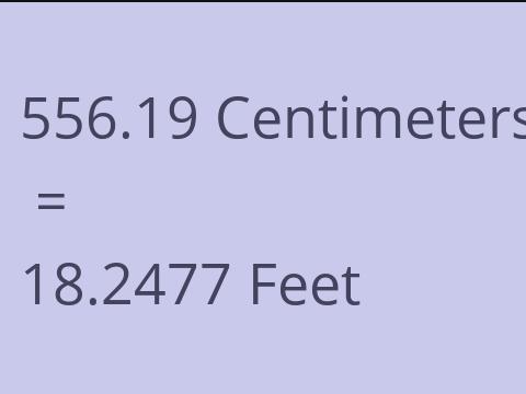 556.19 CM TO FEET