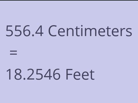 556.4 CM TO FEET