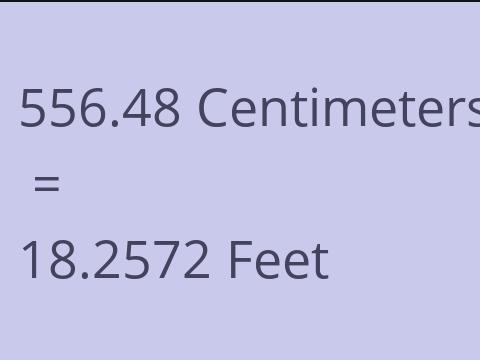 556.48 CM TO FEET