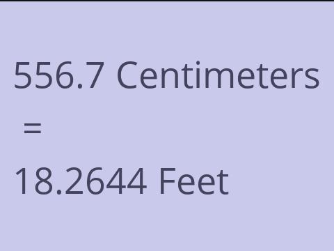 556.7 CM TO FEET