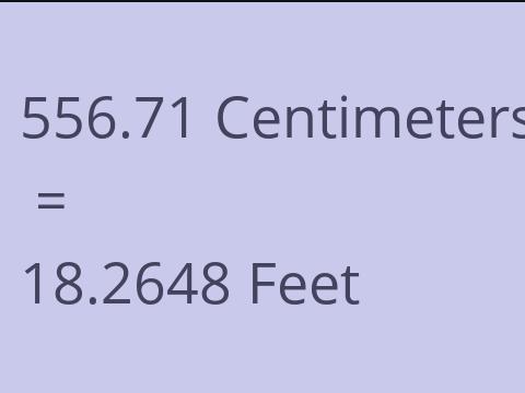 556.71 CM TO FEET