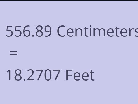 556.89 CM TO FEET