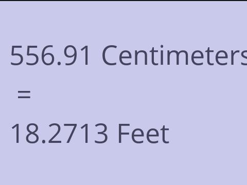 556.91 CM TO FEET