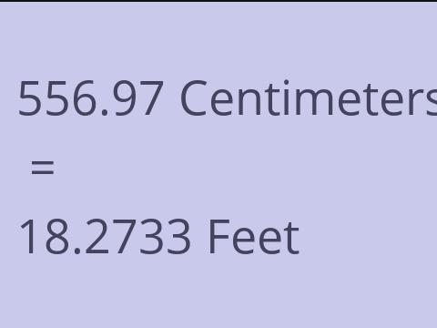 556.97 CM TO FEET