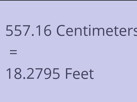 557.16 CM TO FEET