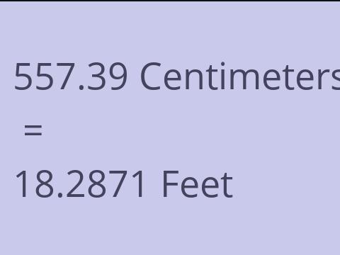 557.39 CM TO FEET