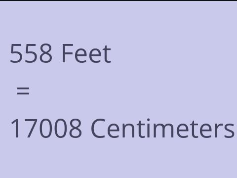 558 FEET TO CM