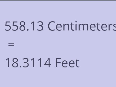 558.13 CM TO FEET