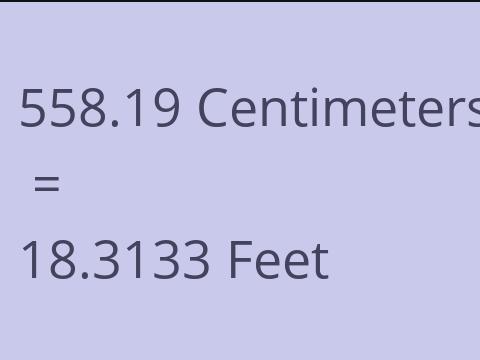 558.19 CM TO FEET