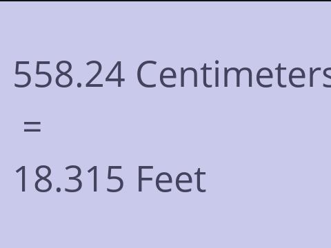 558.24 CM TO FEET