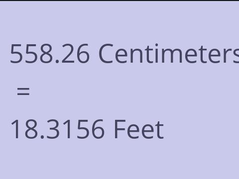 558.26 CM TO FEET