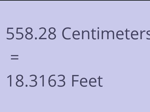 558.28 CM TO FEET