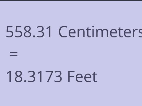 558.31 CM TO FEET