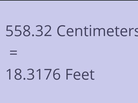 558.32 CM TO FEET