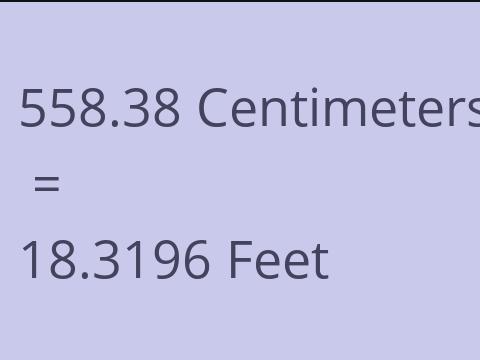 558.38 CM TO FEET