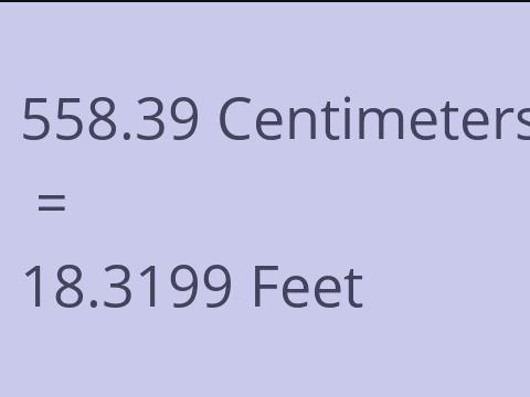 558.39 CM TO FEET