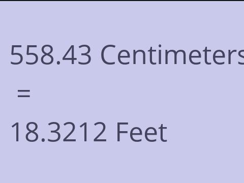 558.43 CM TO FEET