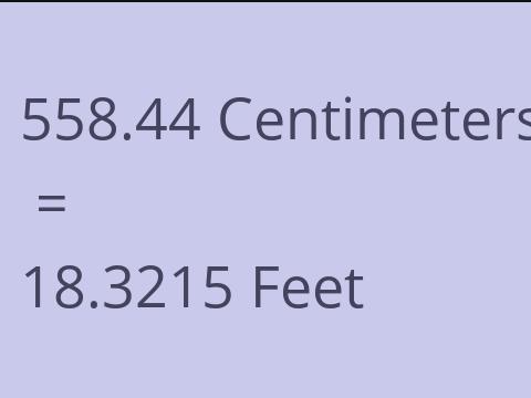 558.44 CM TO FEET