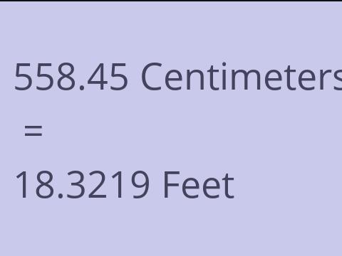 558.45 CM TO FEET